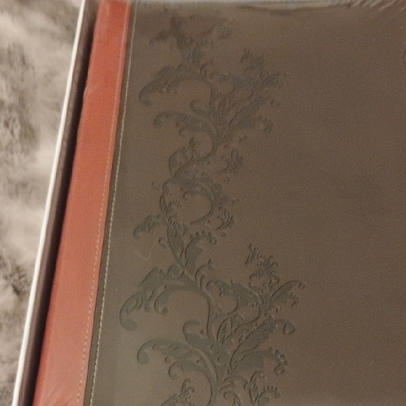 Full Color Bible - Red - Picture 3 of 5